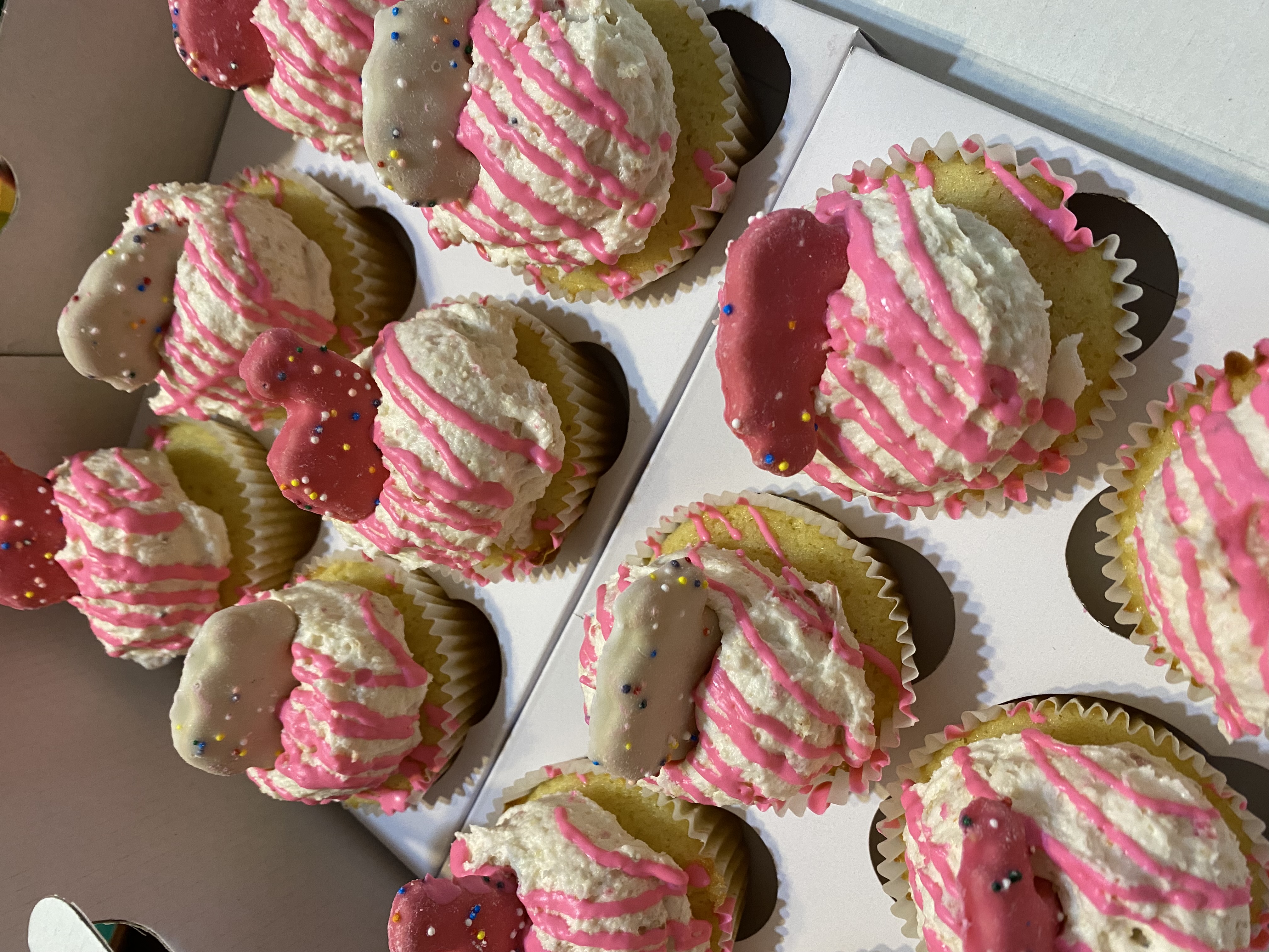 Circus cookie cupcakes